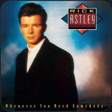 Never Gonna Give You Up Cover Art